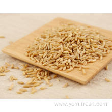 Oat Rice Flour Substitute